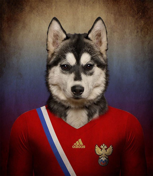 Russia – Siberian Husky