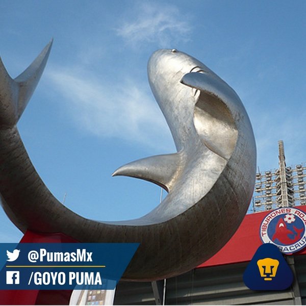 Pumas igualó con Veracruz. Foto: Club Universidad
